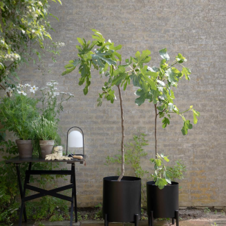 Donica samo-podlewająca Eva Solo Simply Grow Plant Pot Large - 8