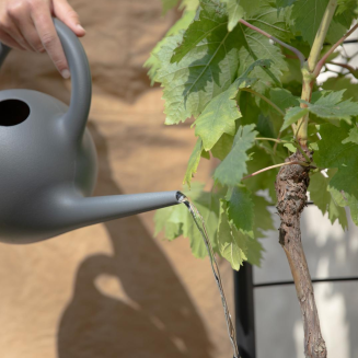 Donica samo-podlewająca Eva Solo Simply Grow Plant Pot Large | SPRING PROMO 2026 - 4