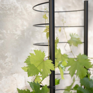 Donica samo-podlewająca Eva Solo Simply Grow Plant Pot Large - 10