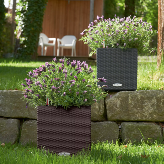Donica Lechuza Cube Cottage 30 | 40 | 50 granit - 9