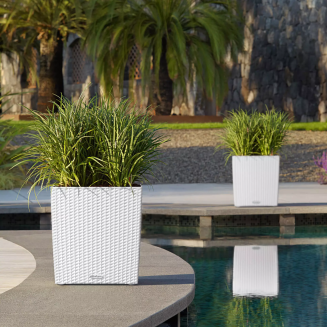  Lechuza Cube Cottage 30 planter | 40 | 50 granite - 13