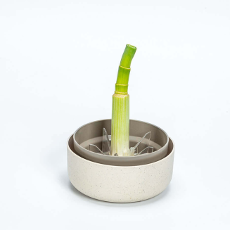 Pojemnik do ponownej uprawy warzyw Urbalive ReGrow kremowy 16 cm - 2