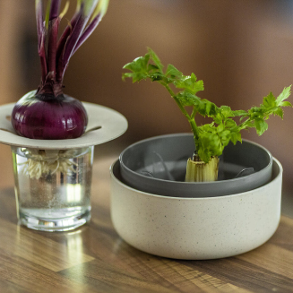 Pojemnik do ponownej uprawy warzyw Urbalive ReGrow kremowy 16 cm - 5