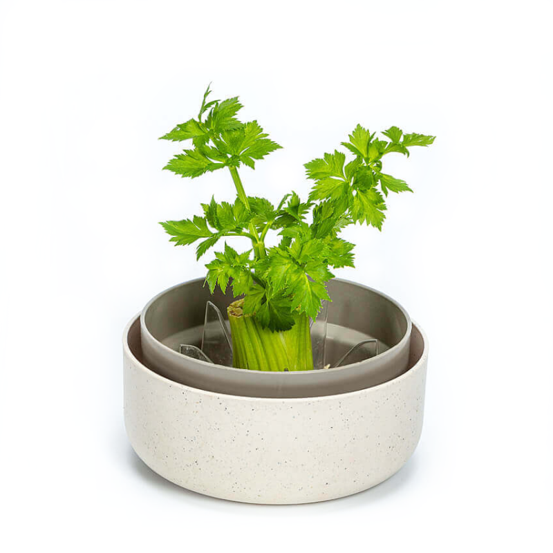 Pojemnik do ponownej uprawy warzyw Urbalive ReGrow kremowy 16 cm