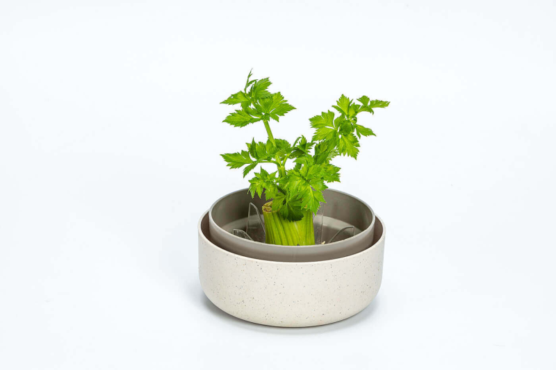 PLASTIA Pojemnik do ponownej uprawy warzyw kremowy