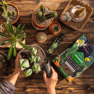 Substrat Lechuza Cactuspon 3l - 4