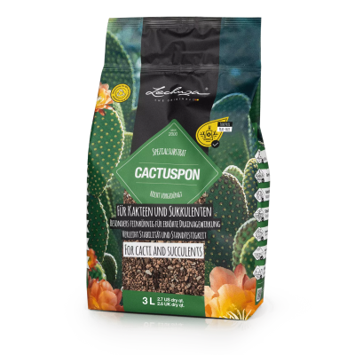 Substrat Lechuza Cactuspon 3l
