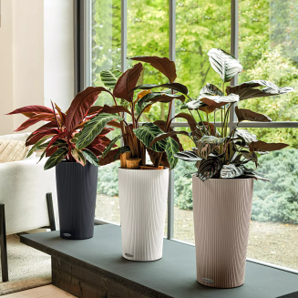  Lechuza Cilindro Color 23 flowerpot white - 7
