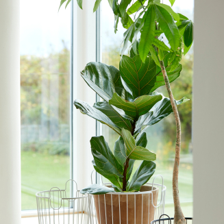 Koszyk Zone Denmark Inu Soft Grey 40x41 cm - 5