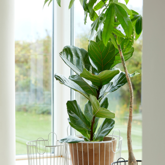 Koszyk Zone Denmark Inu Soft Grey 40x41 cm - 5