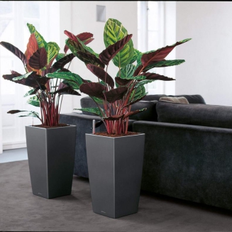  Lechuza Cubico Premium 22 flowerpot | 30 | 40 | 50 anthracite metallic - 9