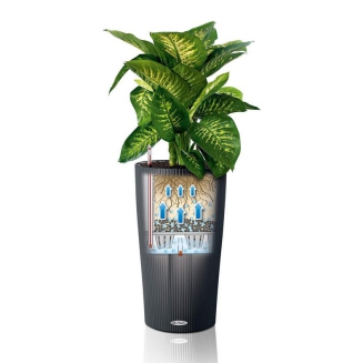  Lechuza Cilindro Color 23 grey - 6