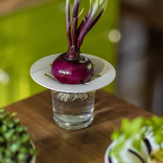 PLASTIA Miseczka na awokado i cebulę z filtrem 16 cm kremowy - 4