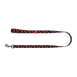 Smycz WAUDOG 122cm nylon wzór Pomarańcze - 2