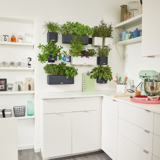  Lechuza Cube Glossy Home Kit wall flowerpot, glossy anthracite - 4