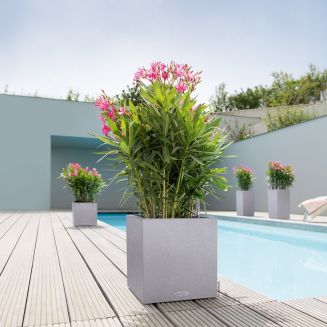 Donica Lechuza Canto Stone 40 kolumna biały kwarcowy - 8