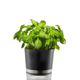  Gefu BOTANICO herb pot - 2