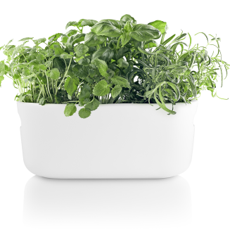 Doniczka samo-podlewająca na zioła Eva Solo White 31 cm - 2