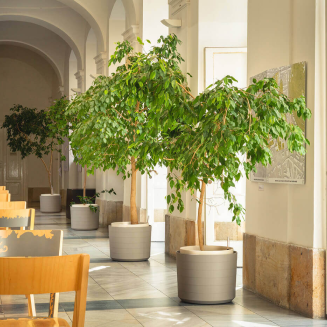 Duża donica samonawadniająca okrągła Plastia Berberis 55 cm jasnoszary - 4