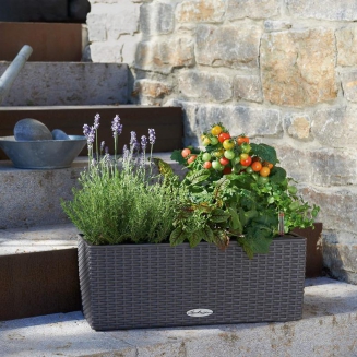  Lechuza Balconera Cottage 50 planter | 80 mocha - 9