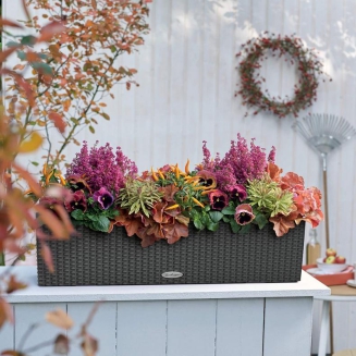  Lechuza Balconera Cottage 50 planter | 80 mocha - 12