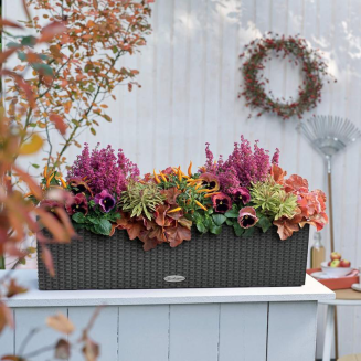 Donica Lechuza Balconera Cottage 50 | 80 mokka - 12