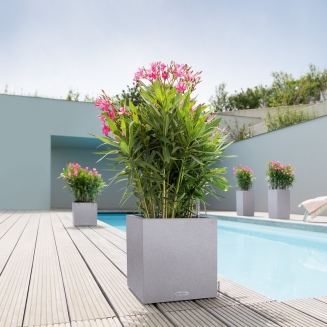  Lechuza Canto Stone planter 40 stone gray column - 8