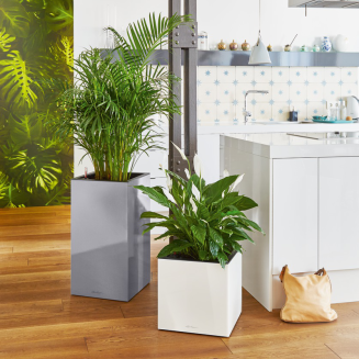 Lechuza Canto Premium 40 cube flowerpot, white gloss - 9
