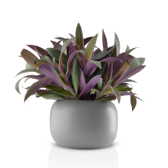 Doniczka Eva Solo Grey Ø16 cm - 2