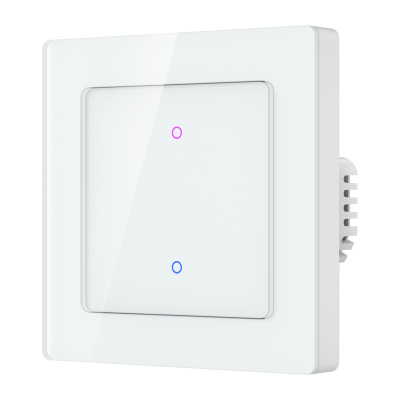  AVATTO TS20-EU-W2 Wi-Fi Light Switch