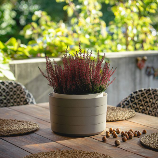 Donica samo-nawadniająca okrągła Urbalive Berberis szary 30 cm - 7