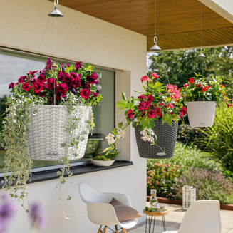 Donica Lechuza Nido Cottage 35 piaskowy brąz - 3