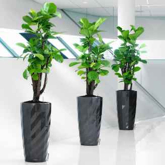  Lechuza Diamante Premium 40 flowerpot, glossy anthracite - 2