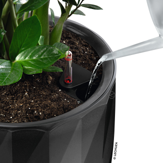  Lechuza Diamante Premium 40 flowerpot, glossy anthracite - 4