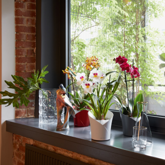 Doniczka na storczyki Lechuza Orchidea Color szara - 3