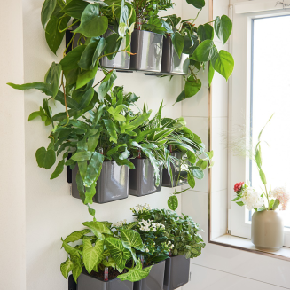  Magnetic holder for wall mounting of Lechuza Cube flower pots - 5