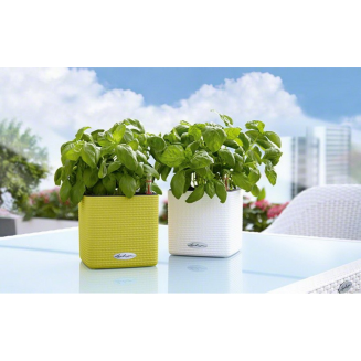  Lechuza Cube Color 14 herb pot | 16 gray slate - 8