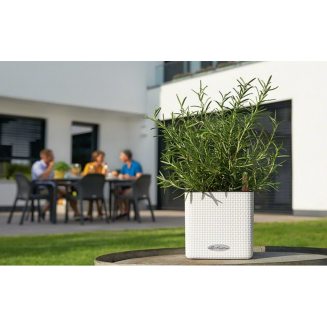  Lechuza Cube Color 14 herb pot | 16 gray slate - 6