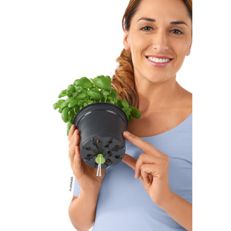 Doniczka na zioła Lechuza Cube Color 14 | 16 szary łupek - 3