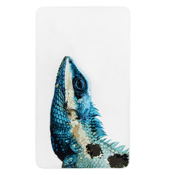 Ręcznik plażowy Graccioza Iguana 100x180 cm