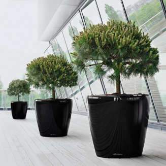 Donica Lechuza Classico Premium 60 | 70 espresso metallic - 9