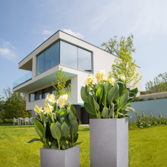 Donica Lechuza Canto Stone 30 kostka biały kwarcowy - 12