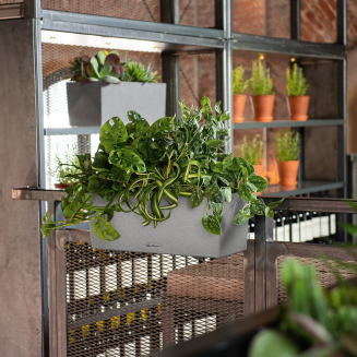 Donica Lechuza Balconera Stone 50 | 80 szary kamienny - 8