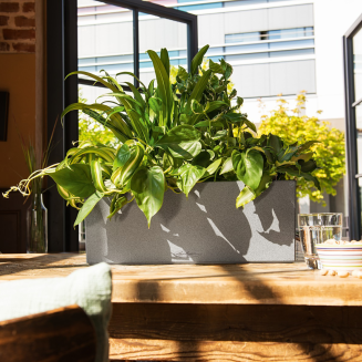 Donica Lechuza Balconera Stone 50 | 80 szary kamienny - 9