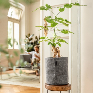 Lechuza Trendcover Filc 23 planter light gray - 4