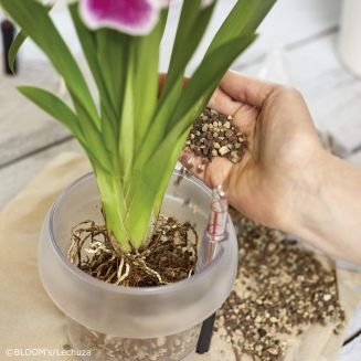 Lechuza Orchidpon substrate 3l - 3