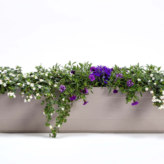 Donica samo-nawadniająca prostokątna Urbalive Berberis jasnoszary 80x20 cm - 3