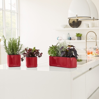  Lechuza Cube Glossy 14 herb pot | 16 red gloss - 2