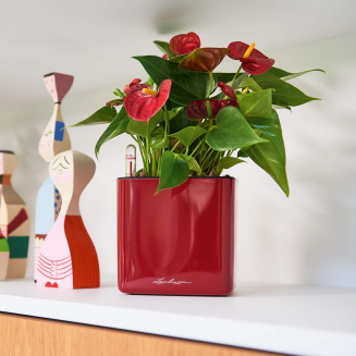  Lechuza Cube Glossy 14 herb pot | 16 red gloss - 6