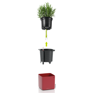  Lechuza Cube Glossy 14 herb pot | 16 red gloss - 2